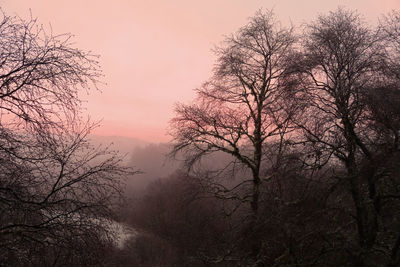 Silhouette bare trees against sky during sunset