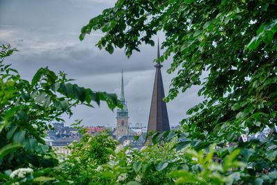 Low angle view of trees and plants against sky