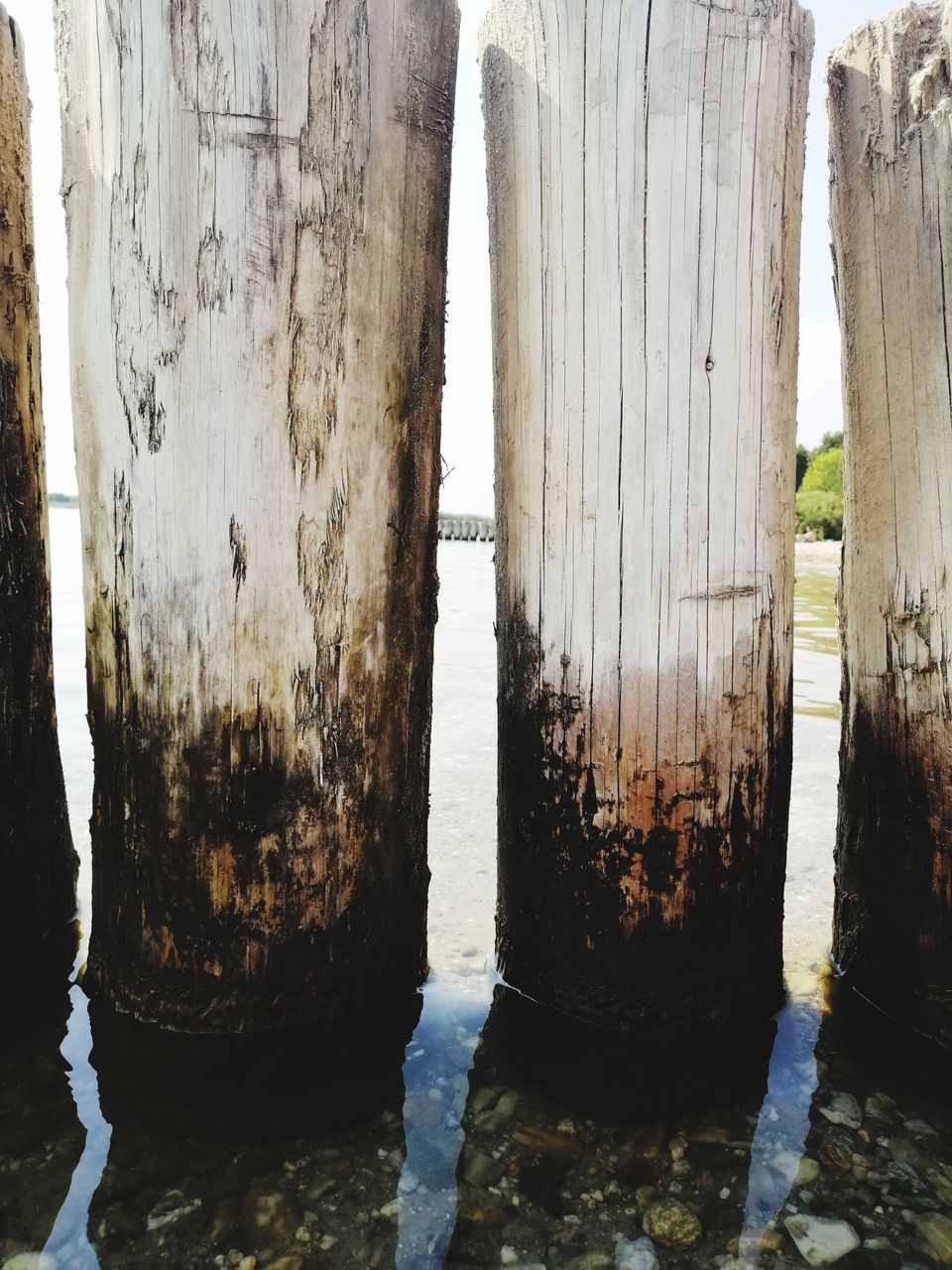 wood - material, no people, day, water, weathered, outdoors, architecture, nature, built structure, post, wooden post, old, reflection, damaged, close-up, waterfront, tree, bad condition, textured