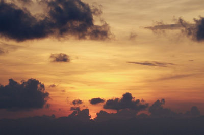 Silhouette of trees at sunset