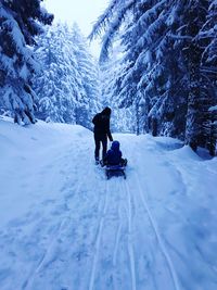 Rear view of people sledding on snow covered landscape amidst trees