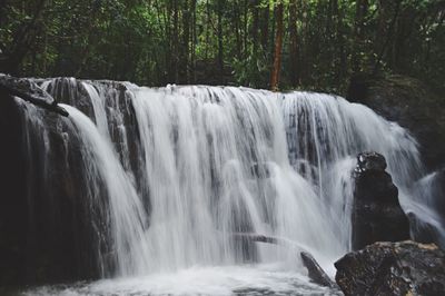 View of waterfall in forest