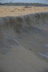 Scenic view of beach