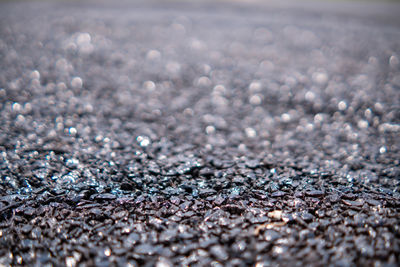 Close-up of snow on pebbles