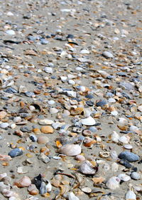 Full frame shot of beach