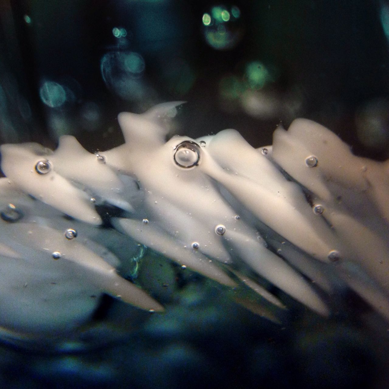 close-up, selective focus, drop, focus on foreground, wet, water, nature, no people, fragility, outdoors, day, part of, detail, car, raindrop, transparent, dew, rain, reflection, shiny