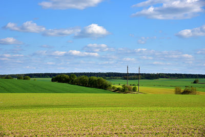 Scenic view of field against sky