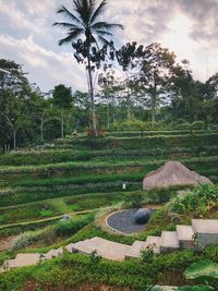 Scenic view of farm against sky