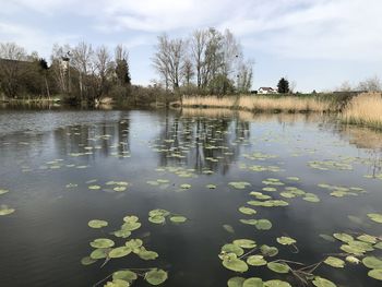 Scenic view of lake against sky