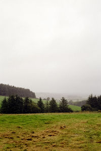 Trees on field against sky