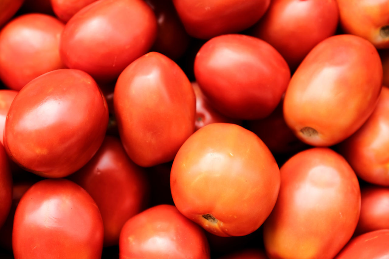 FULL FRAME SHOT OF TOMATOES