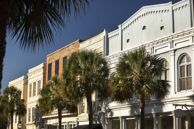 Low angle view of palm trees by building against sky