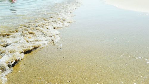 High angle view of beach