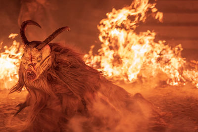 Fire. flames. krampus. christmas devils