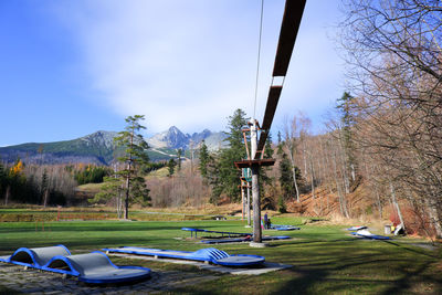 Trees on field against blue sky