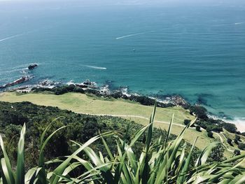 High angle view of sea shore