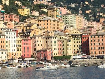 Boats in a city