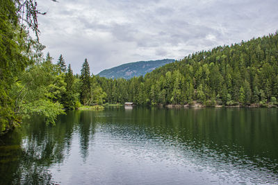 Scenic view of lake by trees against sky