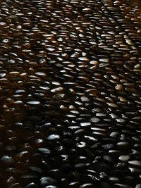 Full frame shot of tiled floor