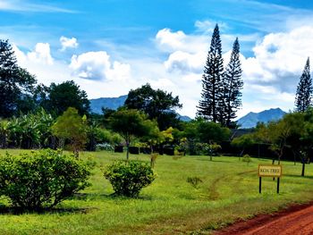 Trees on field against sky