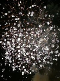 Low angle view of tree against sky at night