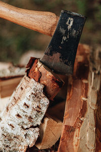 Close-up of old wooden log