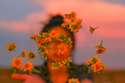 Close-up of orange flowering plant leaves during autumn