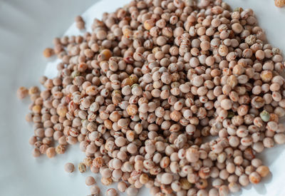 High angle view of eggs in container