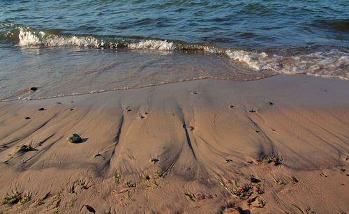 High angle view of beach