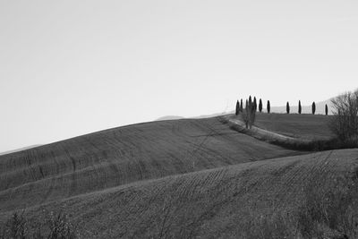 Scenic view of agricultural field against clear sky