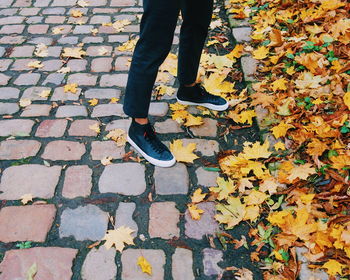 Low section of man standing on fallen leaves