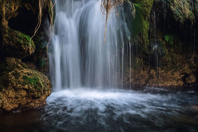 Scenic view of waterfall in forest