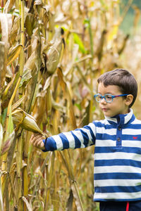 Boy standing on corn field 