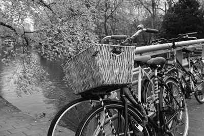 Bicycle parked on footpath by plants in city