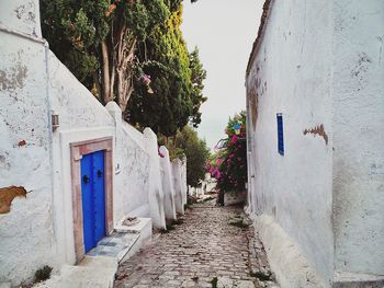 Narrow alley along buildings