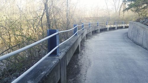 Railing by trees