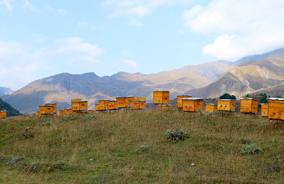 Panoramic view of an apiary at the rural countryside in georgia