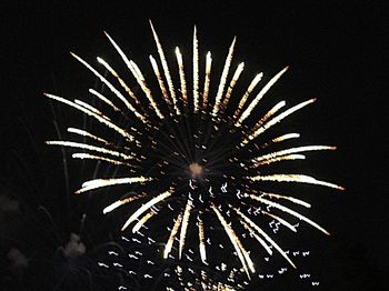 Low angle view of firework display at night