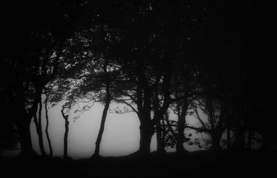 Silhouette trees in forest against sky
