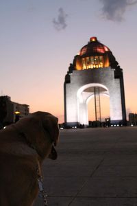 Silhouette of dog against sky at sunset