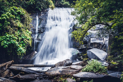 Scenic view of waterfall in forest