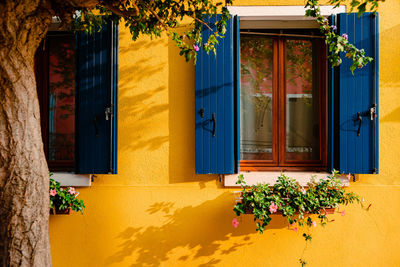 Windows with blue shutters of yellow colored dwelling with planters