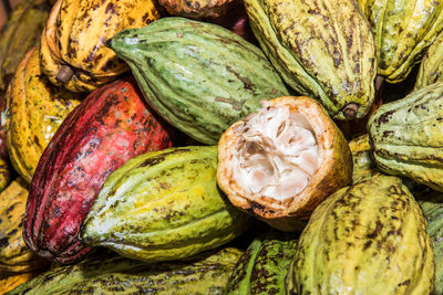 Colourfull reaped peeled cocoa and cocoa fruits ready for cocolate manufacturing.