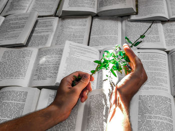 Cropped hands holding herb over books