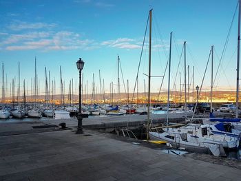 Sailboats moored on harbor against sky