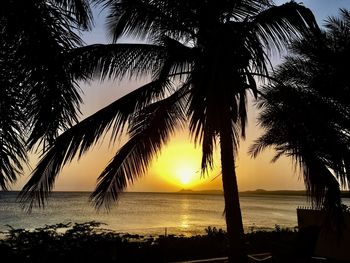 Silhouette palm tree by sea against sky during sunset