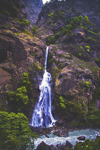 Low angle view of waterfall in forest