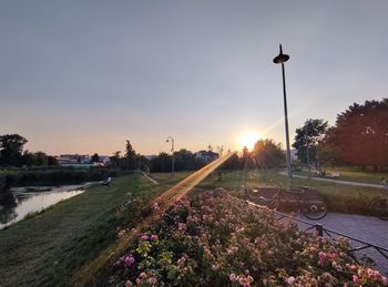 Street amidst flowering plants against sky during sunset