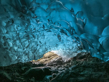 View of turtle in sea