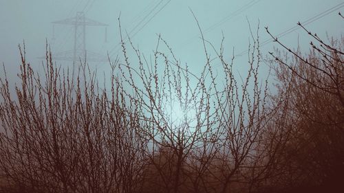 Low angle view of power lines against sky